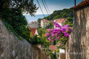 Dubrovnik 2014