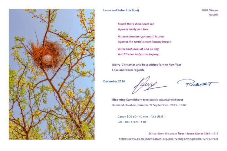 Xmas-card24