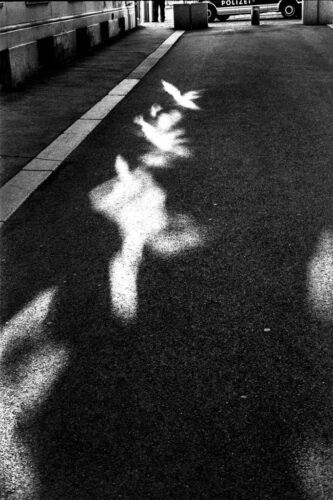 SOLD! Reflections Figl Gasse, Vienna Austria 2020, Silver Gelatine 20x30 cm.