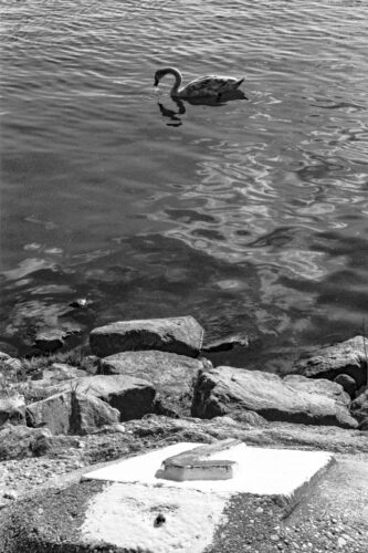 One And One - Donau Insel Vienna, Austria 2021, Silver Gelatine 20x30 cm.