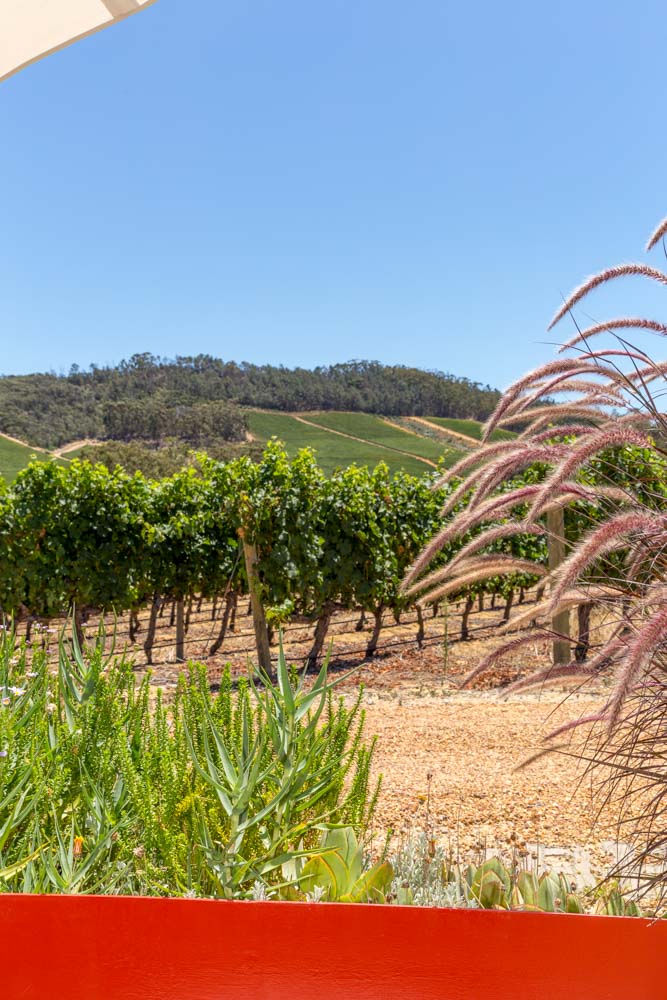 Stellenbosch 2018