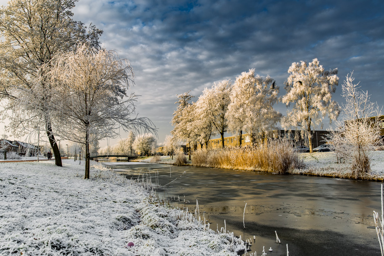 Almere 2017